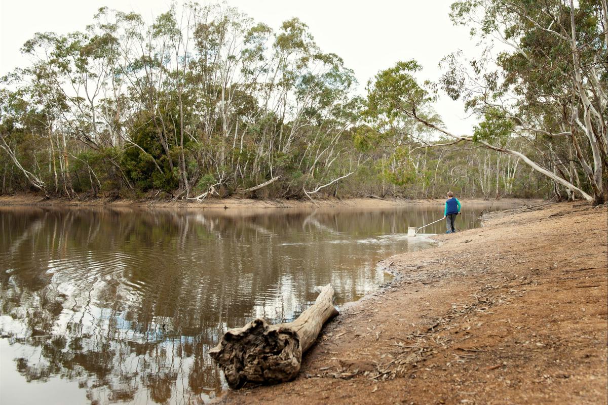 A person stands at the edge of the Para Wirra lake, looking over the water.