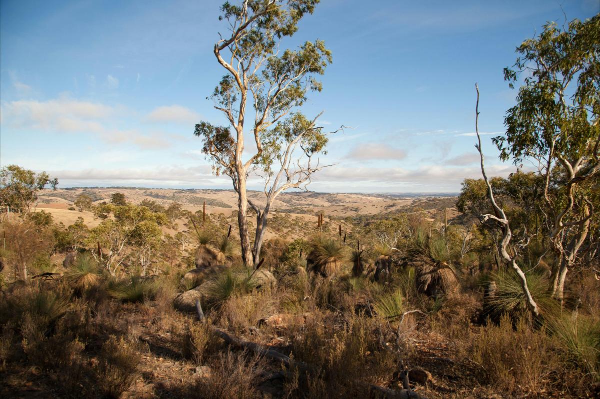 A view over rolling hills from one of the trails in the park.