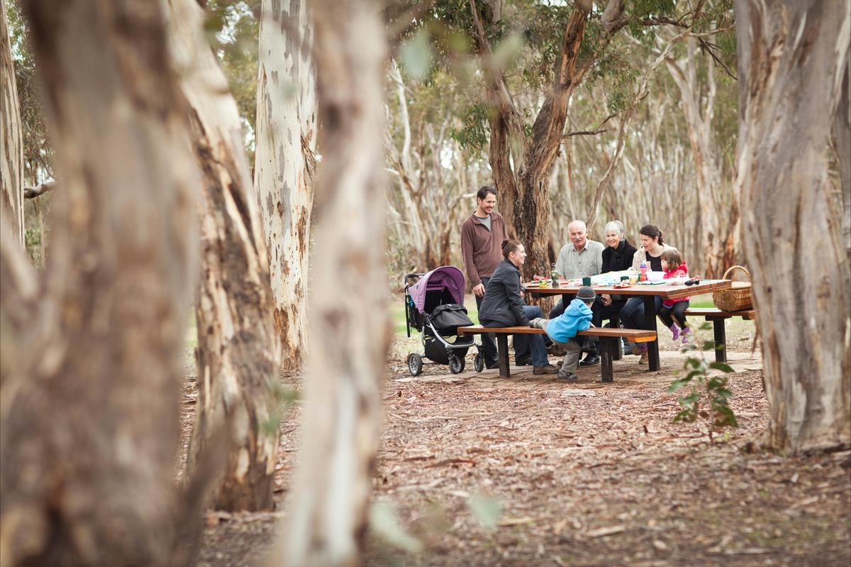 A family sitting at a picnic table in the park , enjoying lunch together.