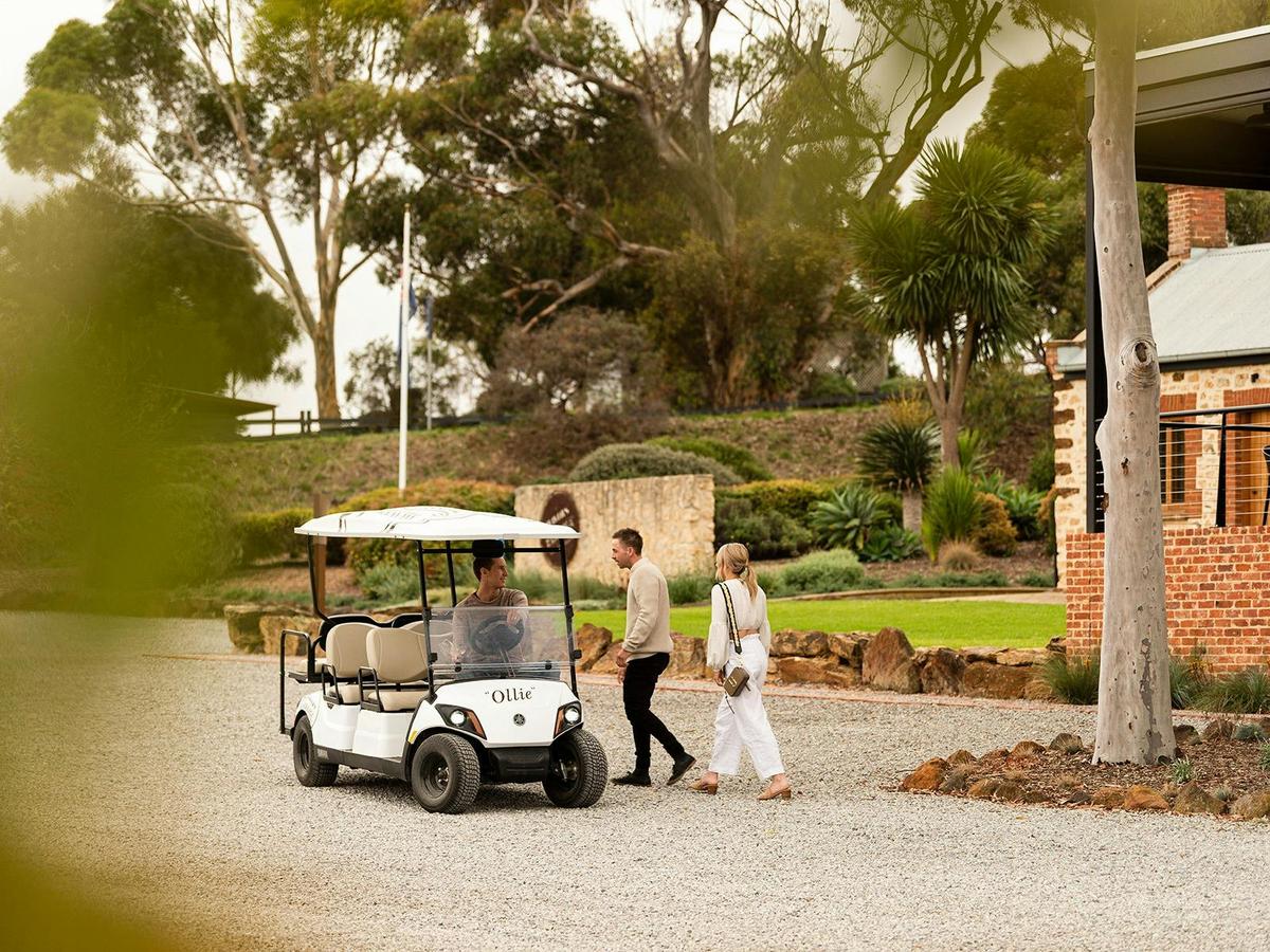 Taranga Terroir - Vineyard Experience
