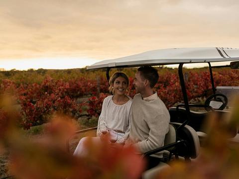 Taranga Terroir - Vineyard Experience