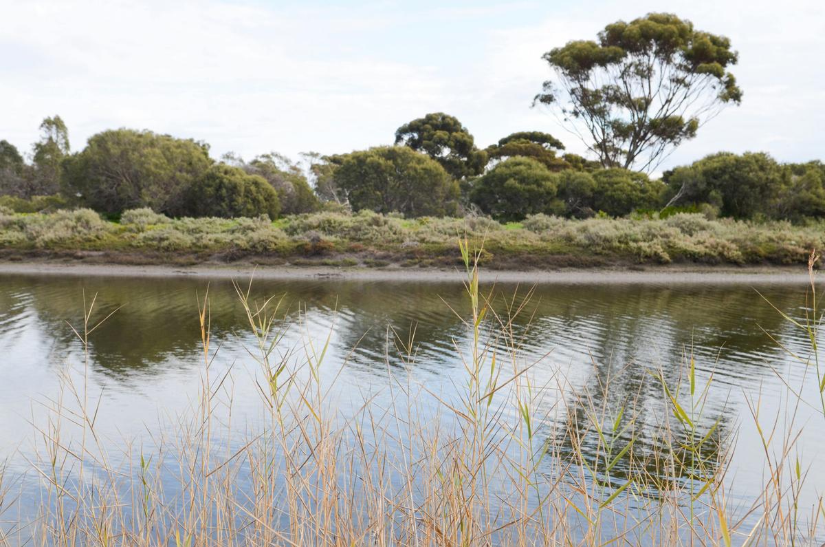 Onkaparinga River Recreation Park