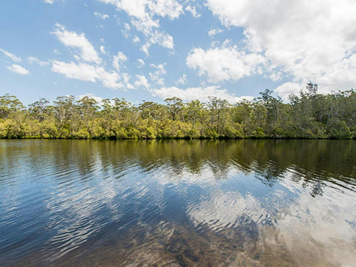 Cockatoo picnic area, Wallingat National Park. Photo: John Spencer