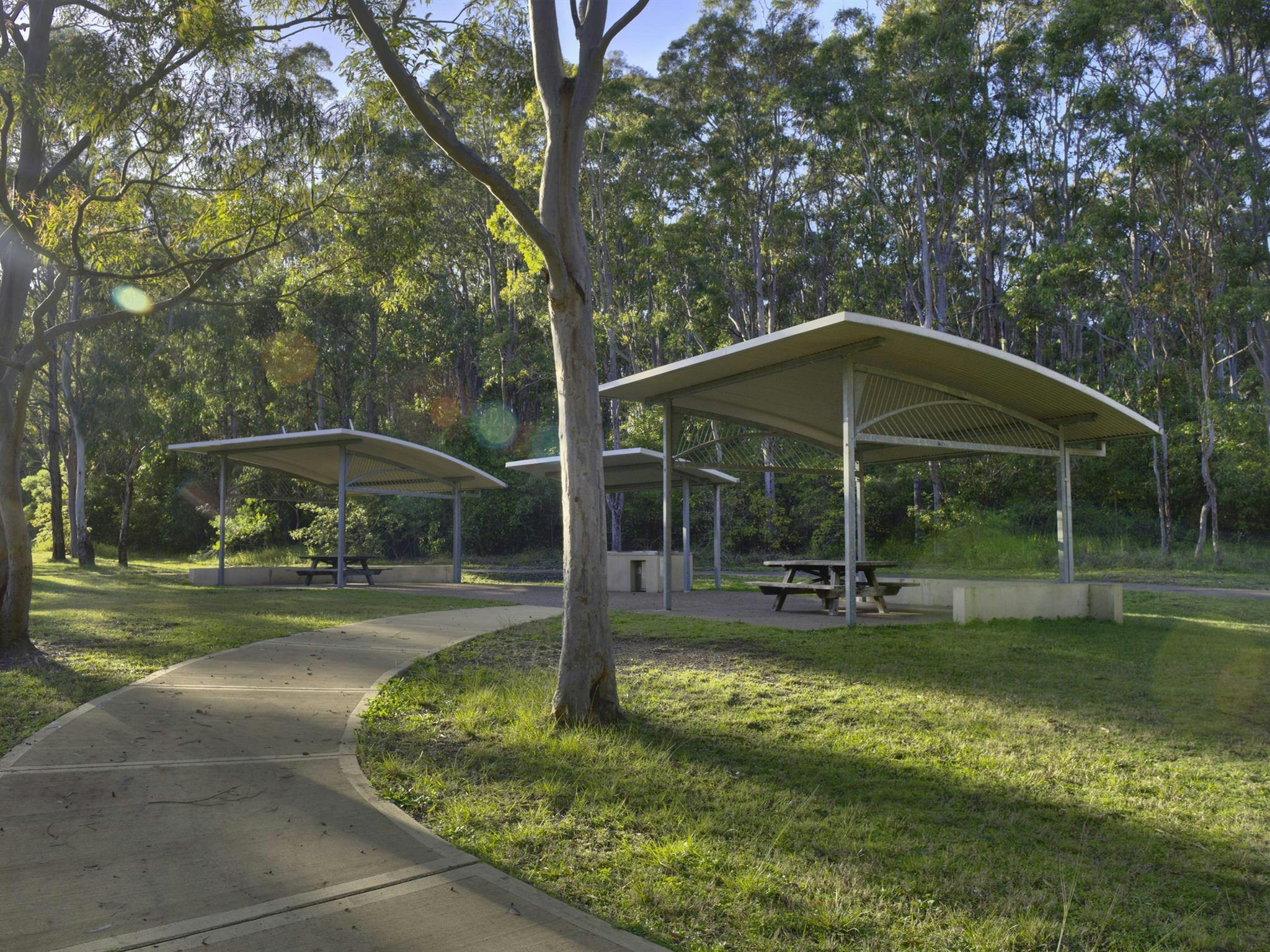 Some picnic shelters, surrounded by lush grass and tall gum trees, at Village Green picnic area and