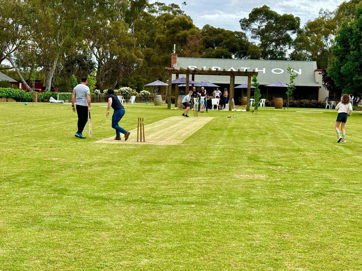 Pirathon Cricket Pitch