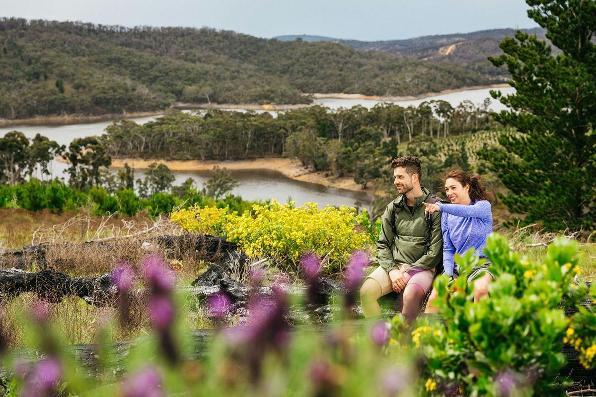 Mount Bold’s new viewing platform and lookout showcases panoramic views  across the reservoir
