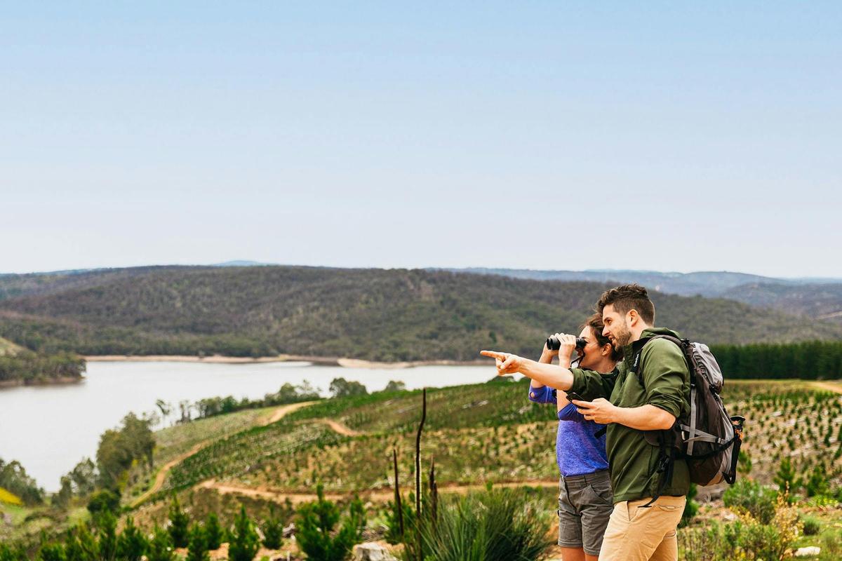 Mount Bold’s new viewing platform and lookout showcases panoramic views  across the reservoir