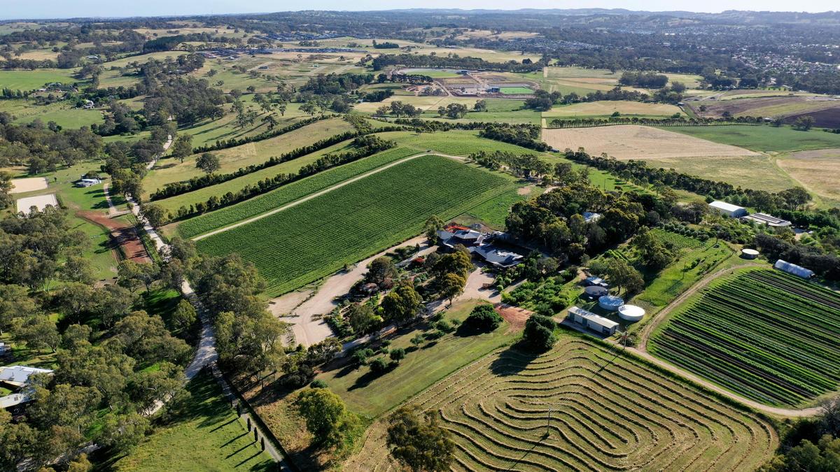 Ngeringa from above