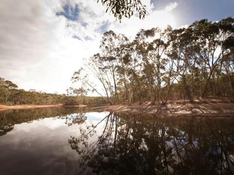 Para Wirra Conservation Park Campgrounds