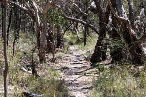Mount Crawford Walking Trails