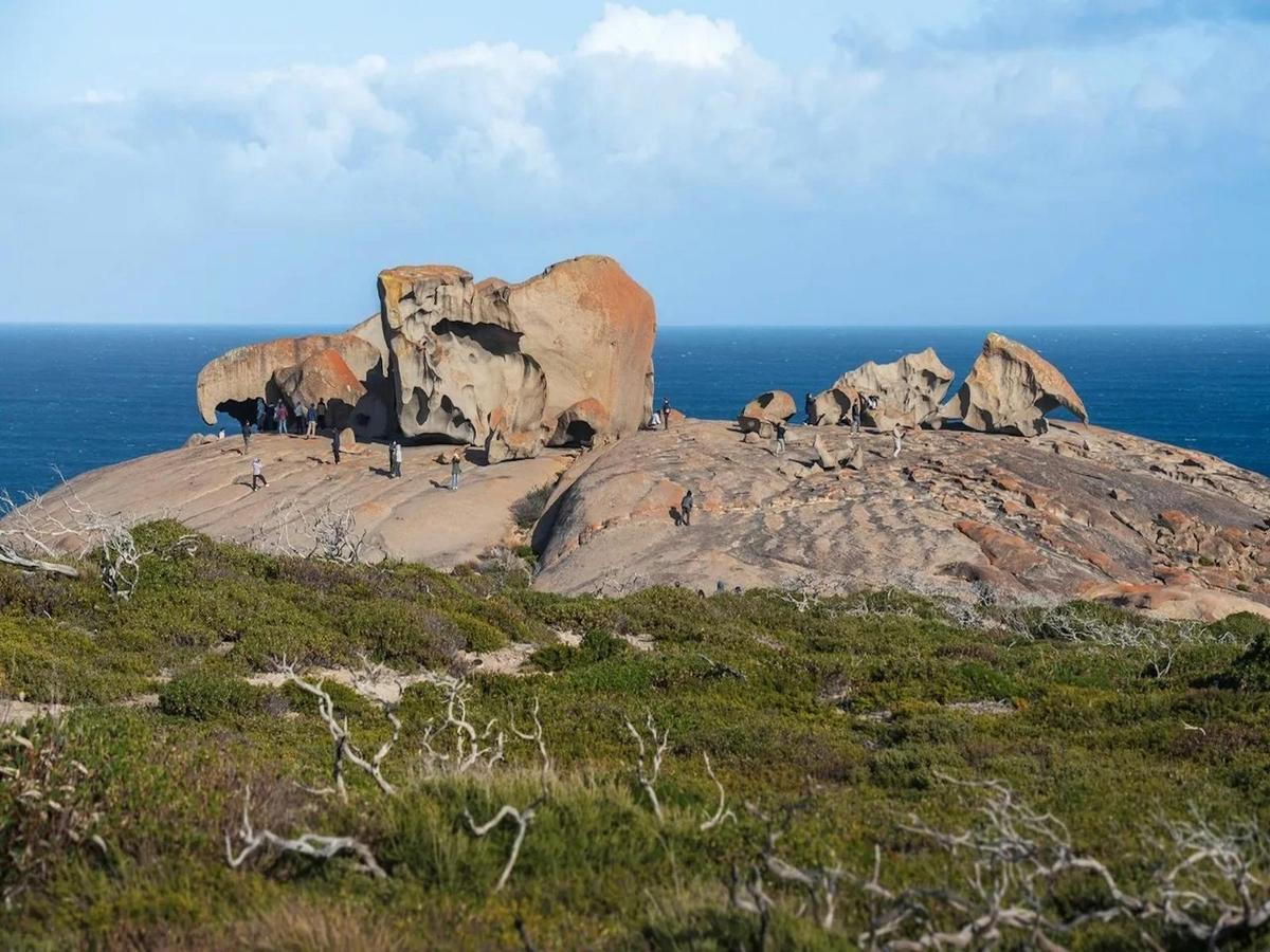 NT Top Adventures - Kangaroo Island
