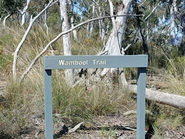 Wambool Nature Reserve