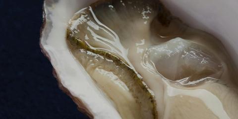 Oyster Fest