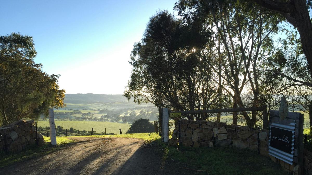 Pear Tree Hollow