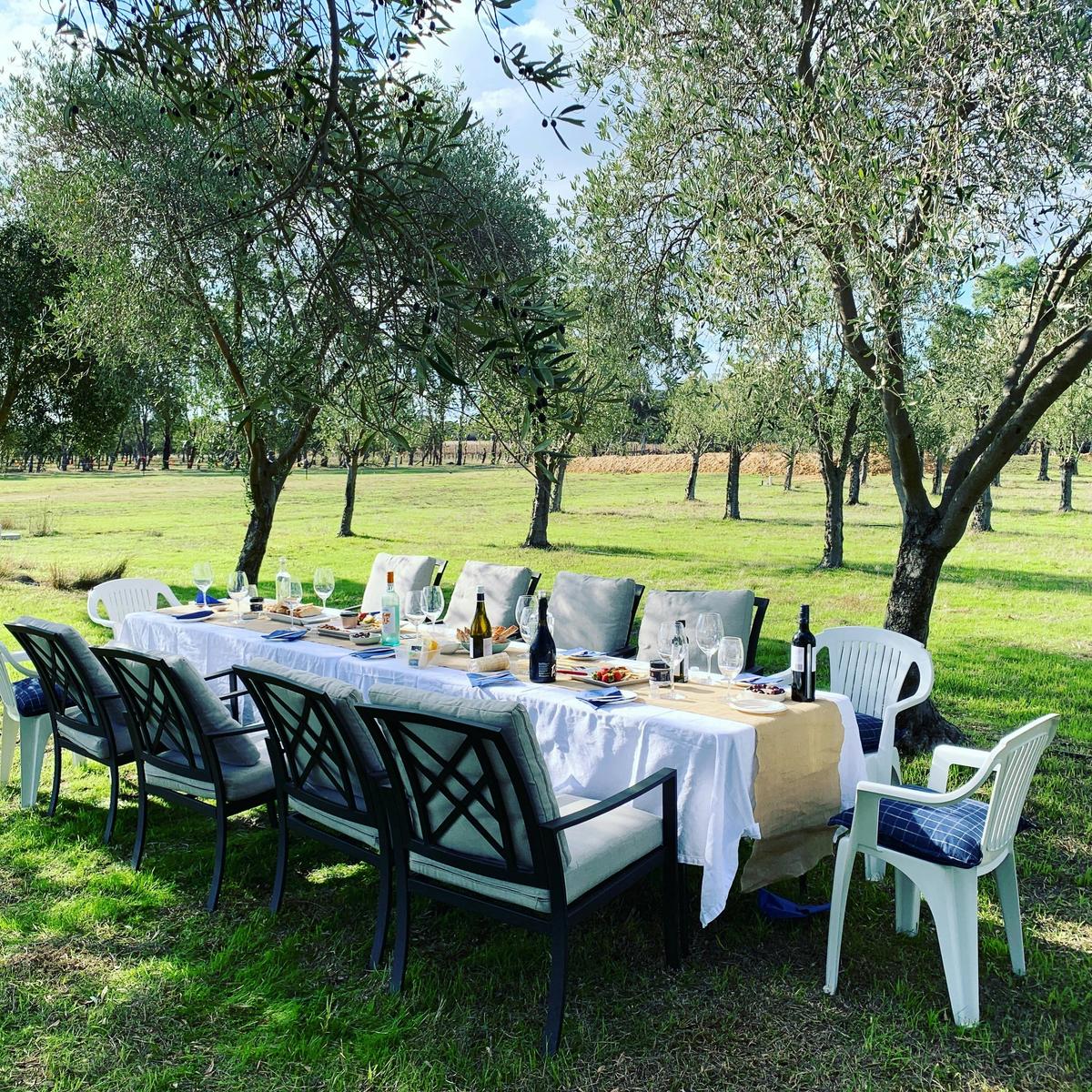 Peninsula Providore Olive Grove Discovery Tour