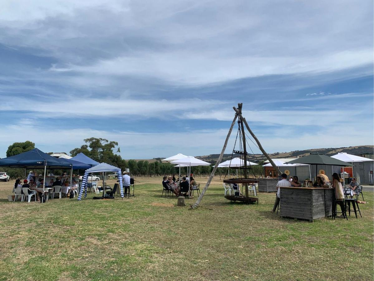 Peninsula Providore Olive Grove Discovery Tour