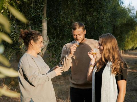 Peninsula Providore Farm Pick Your Own Olives Tour