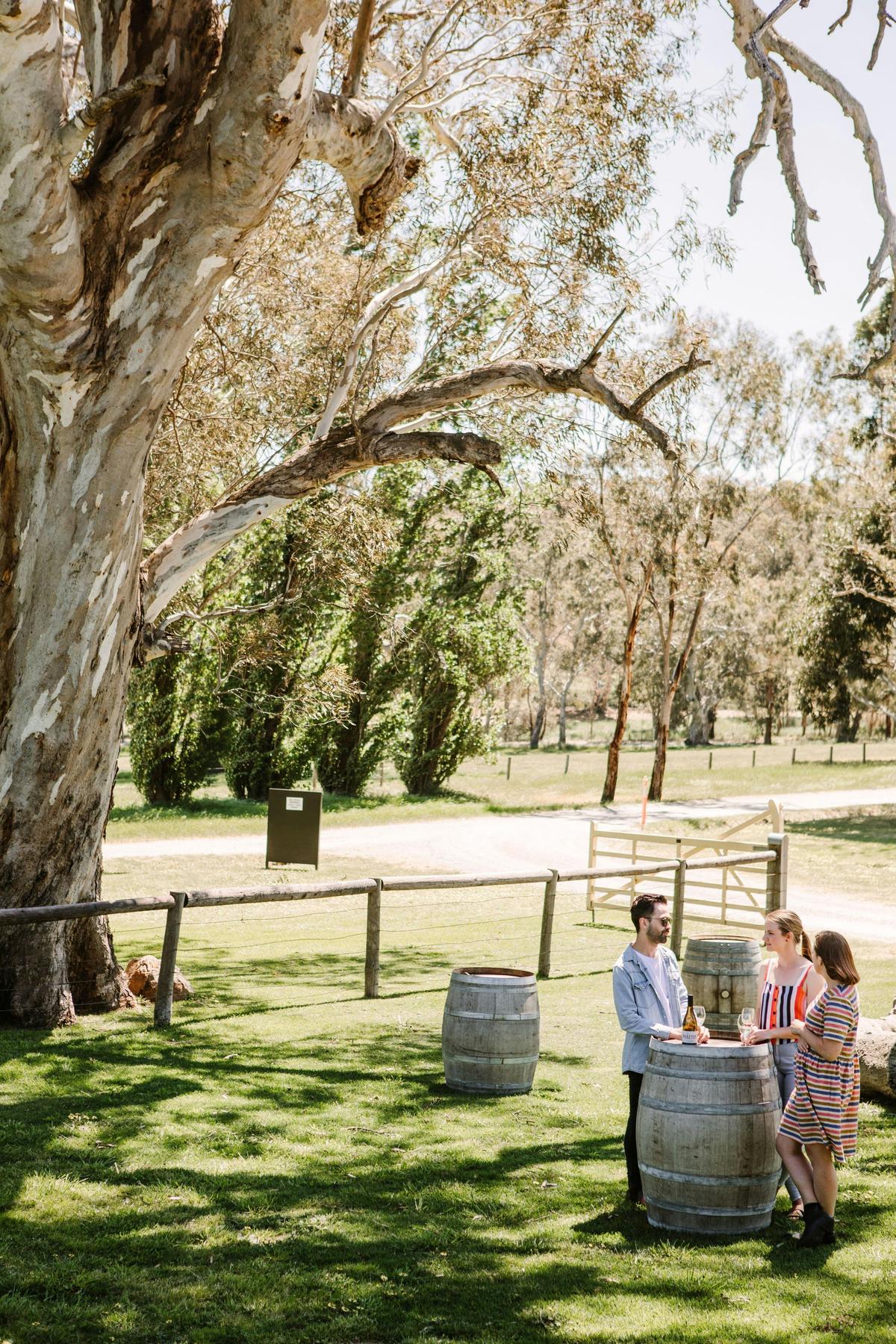 Murdoch Hill mandatory credit for photo to Adelaide Hills Wine Region