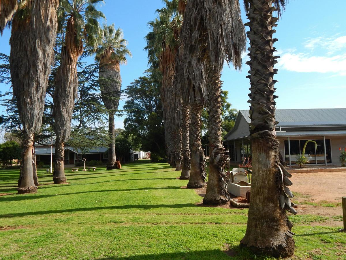 The original palm lined carriage way leading to the homestead on the left of this photo.