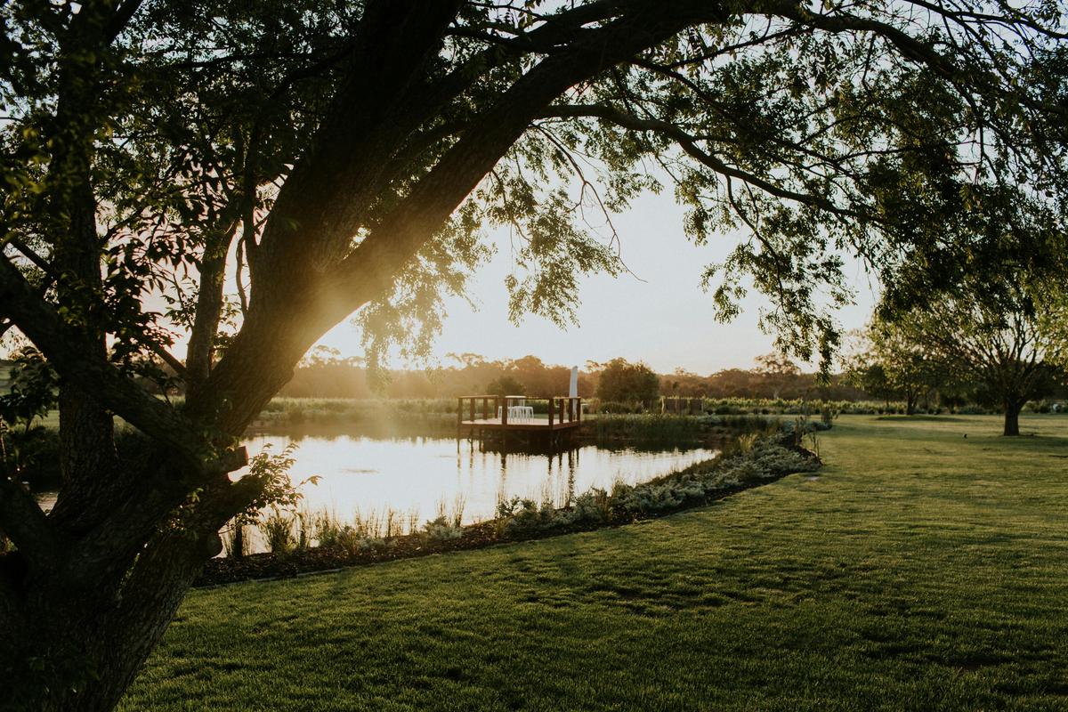 Landscaped grounds, vineyard and lake