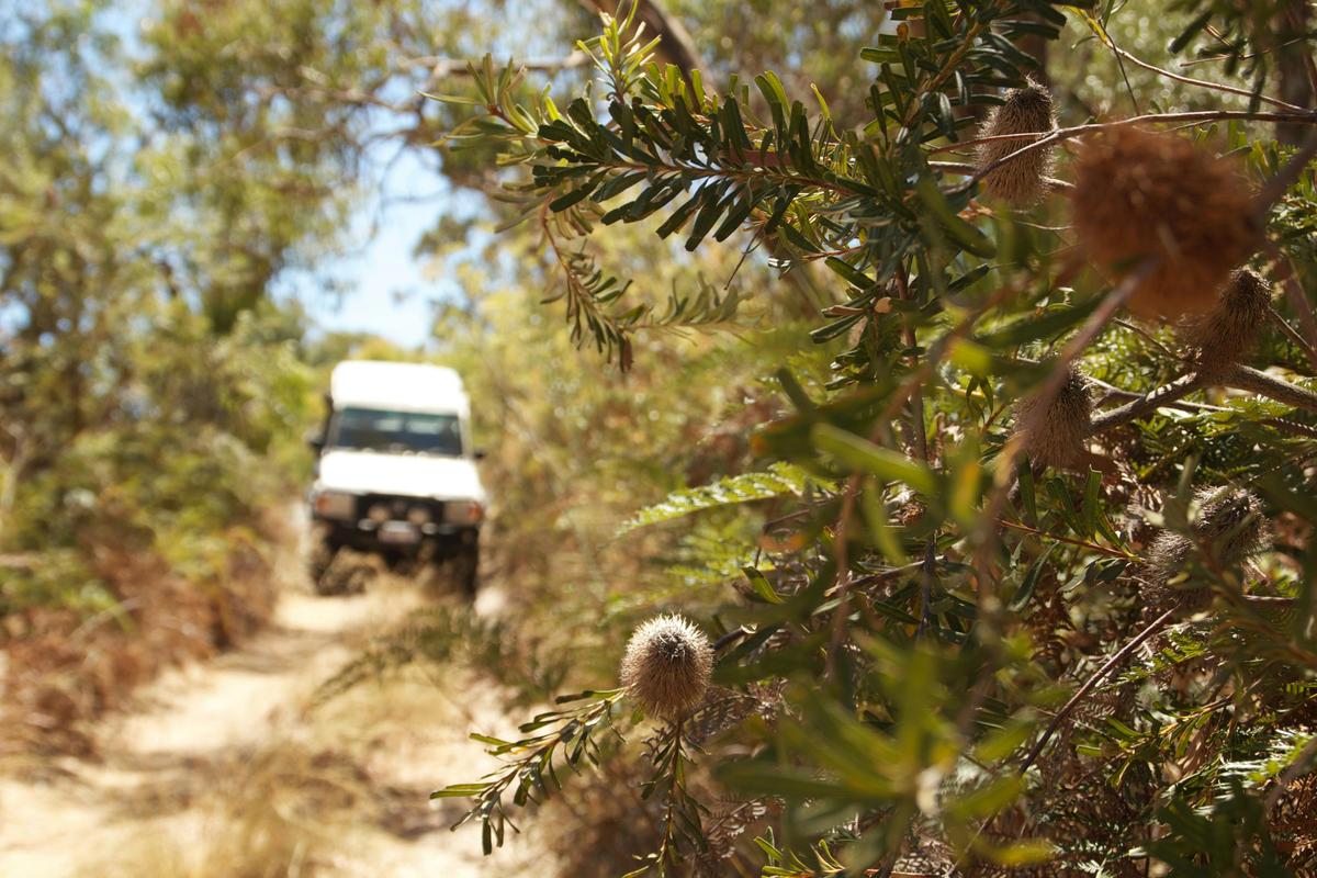 Stunning bush tracks where other tours do not venture