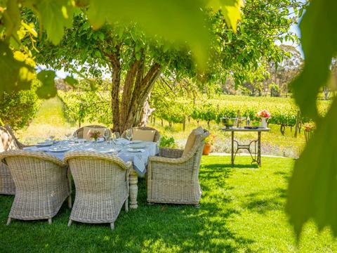 Fork & Grape Safari