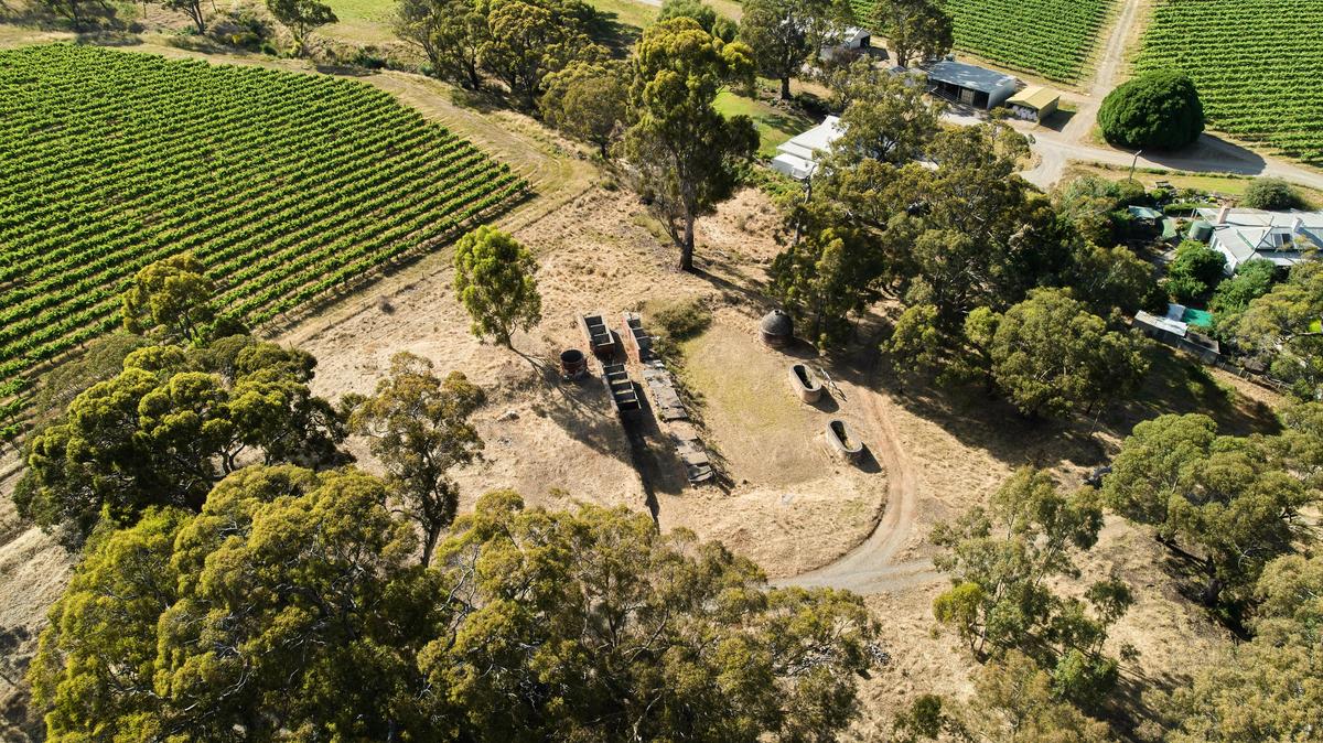 Upper Tintara Vineyard