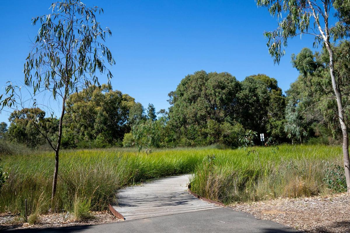 Oaklands Wetland