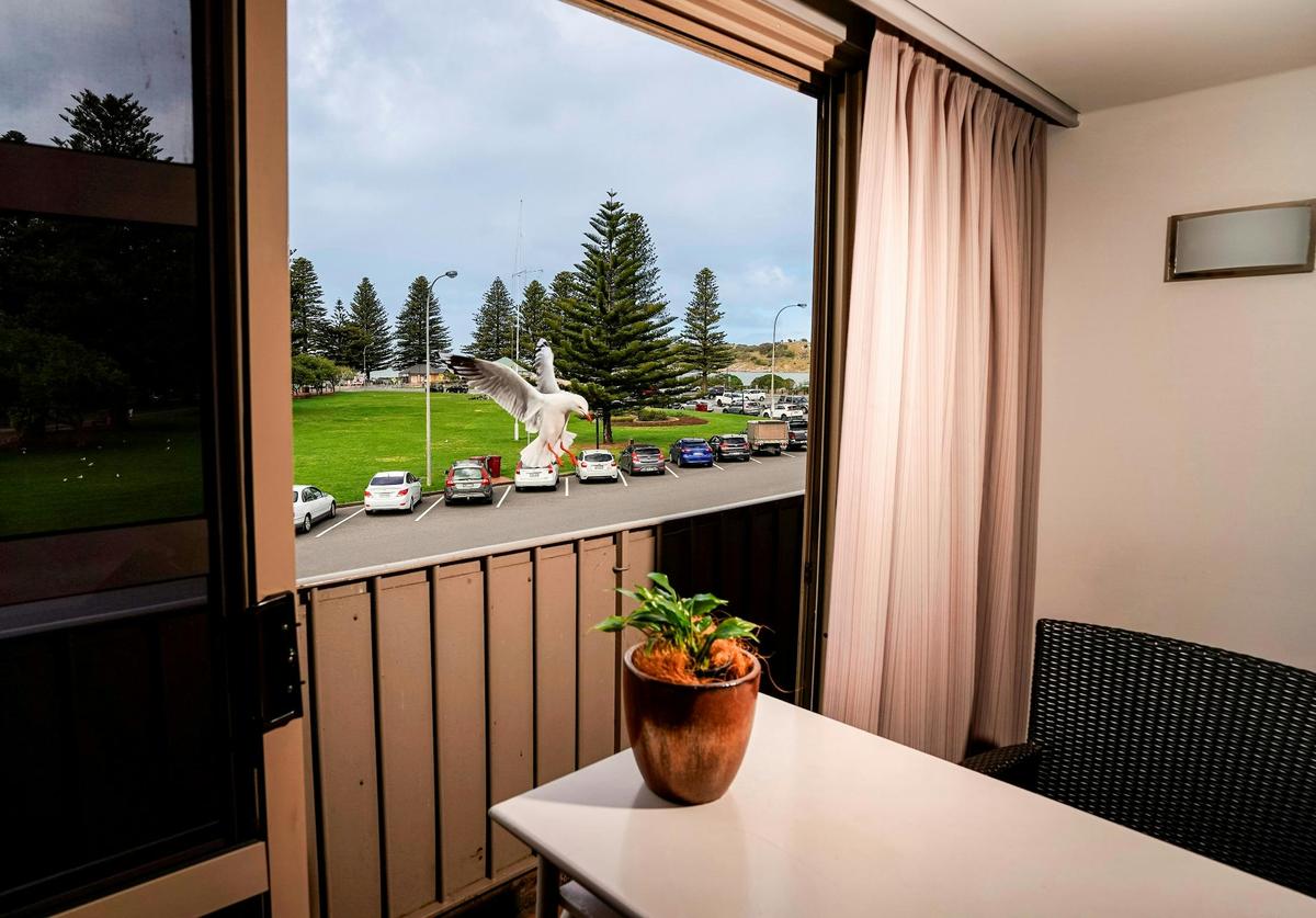 Seaview King