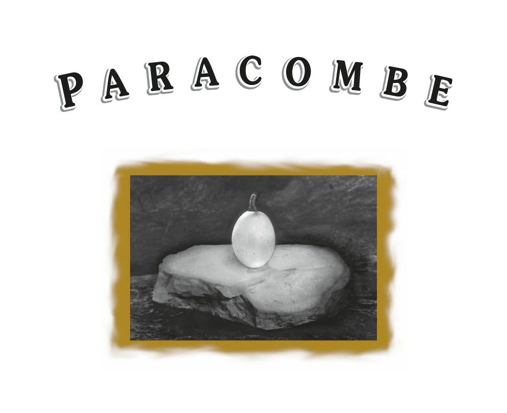 Paracombe Premium Wines