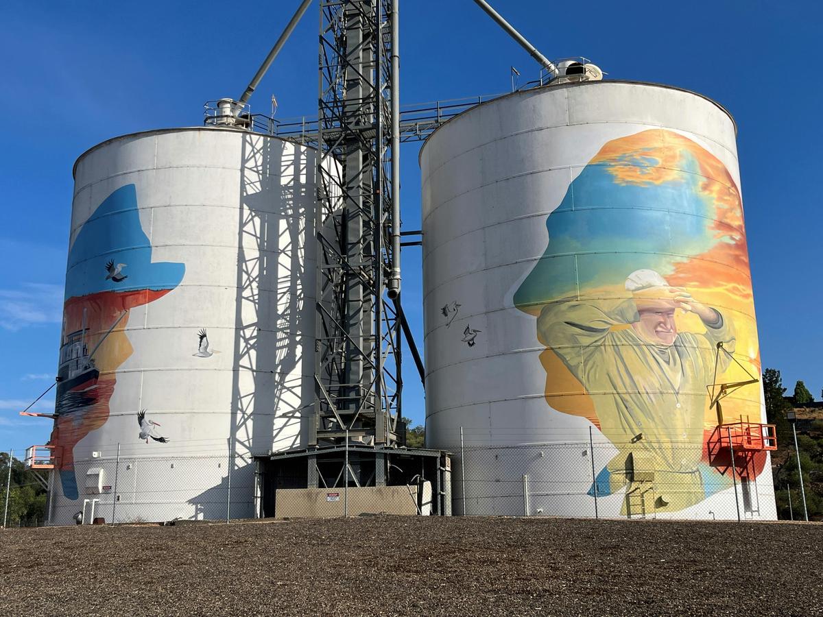 Paringa Silo Art - Possum