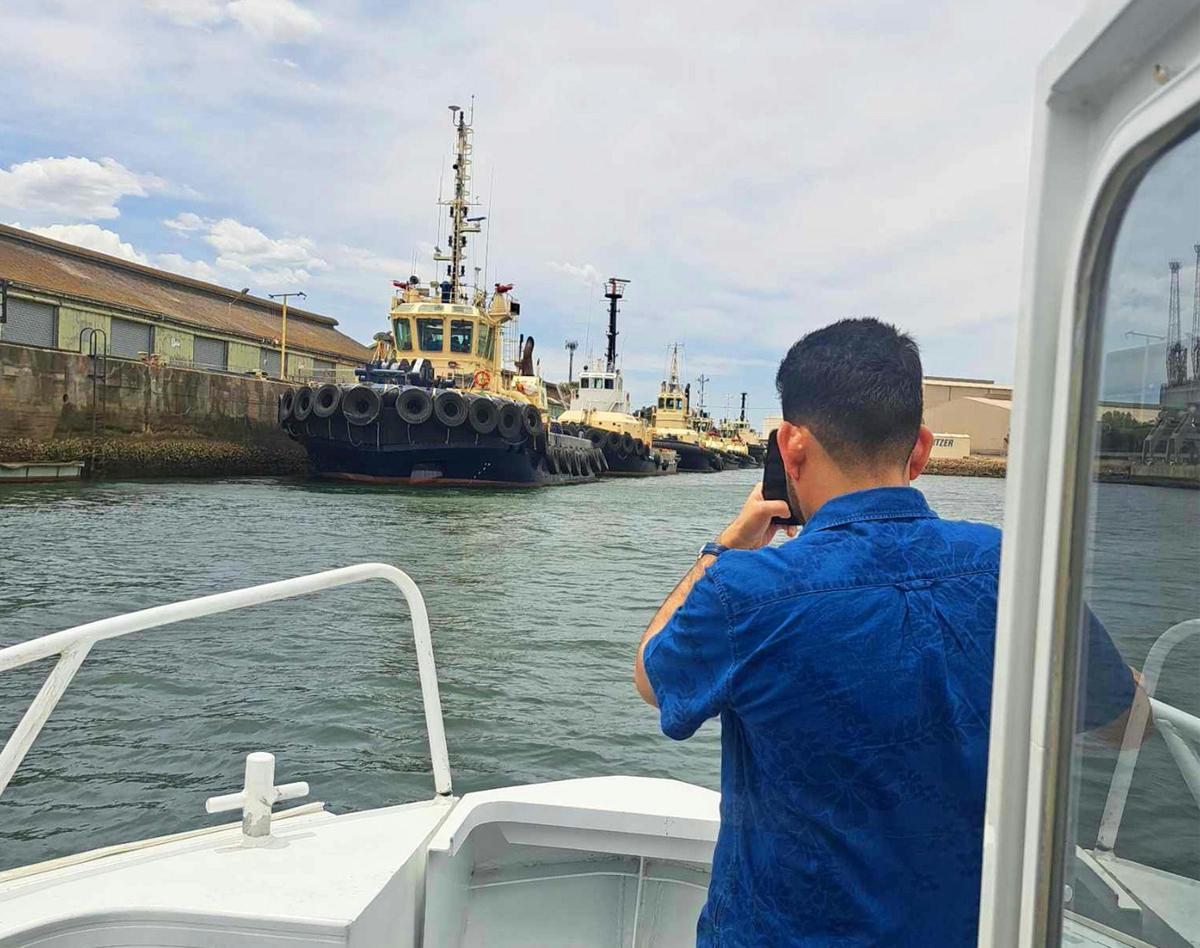 2-Hour Dolphin and Maritime Cruise