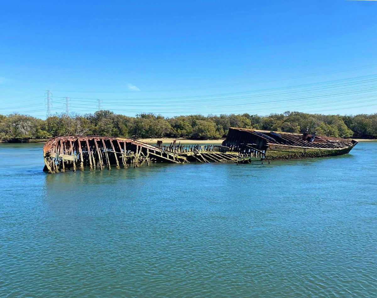 90 Minute Dolphin and Ships Graveyard Cruise