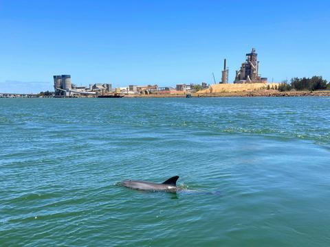 Port River Cruises Private Charter