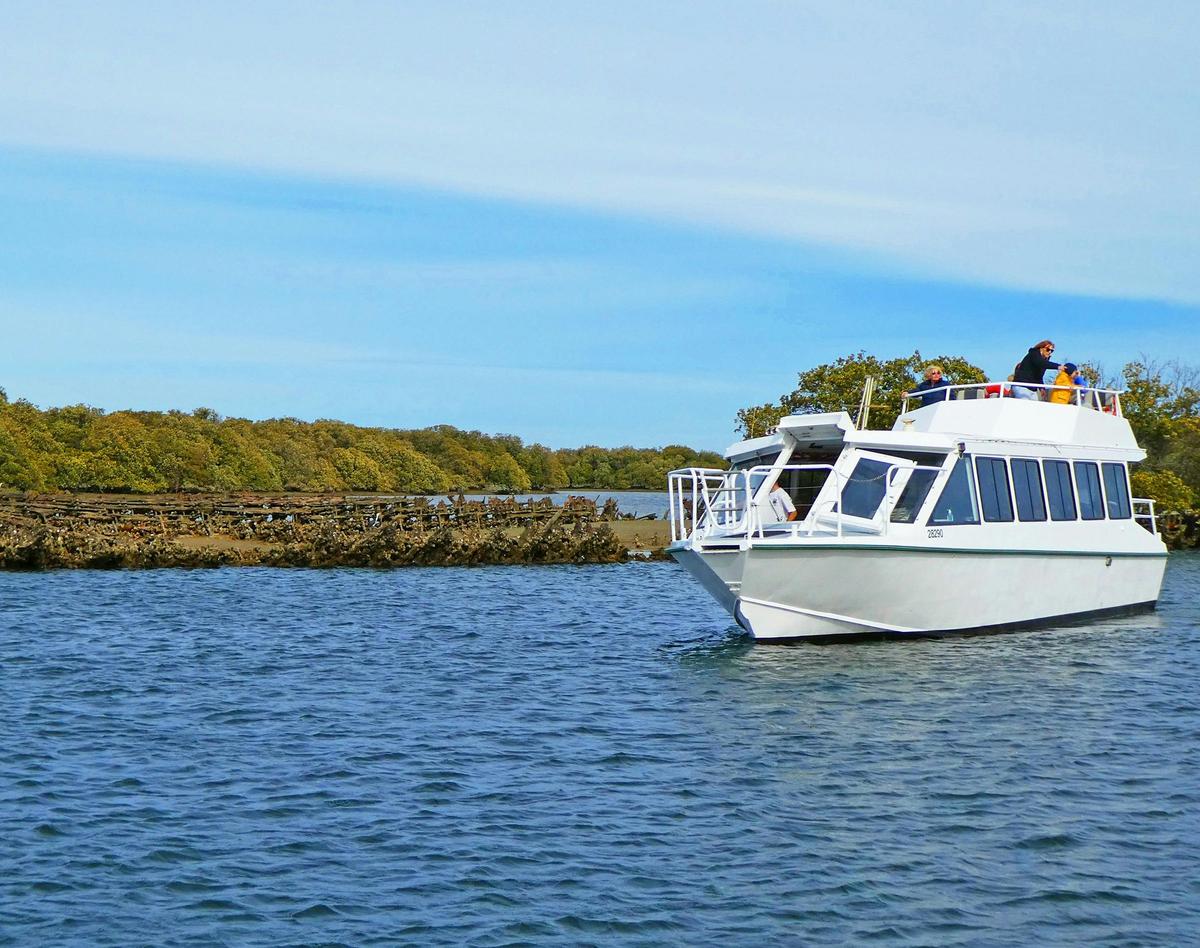 Explore sunken wrecks upclose