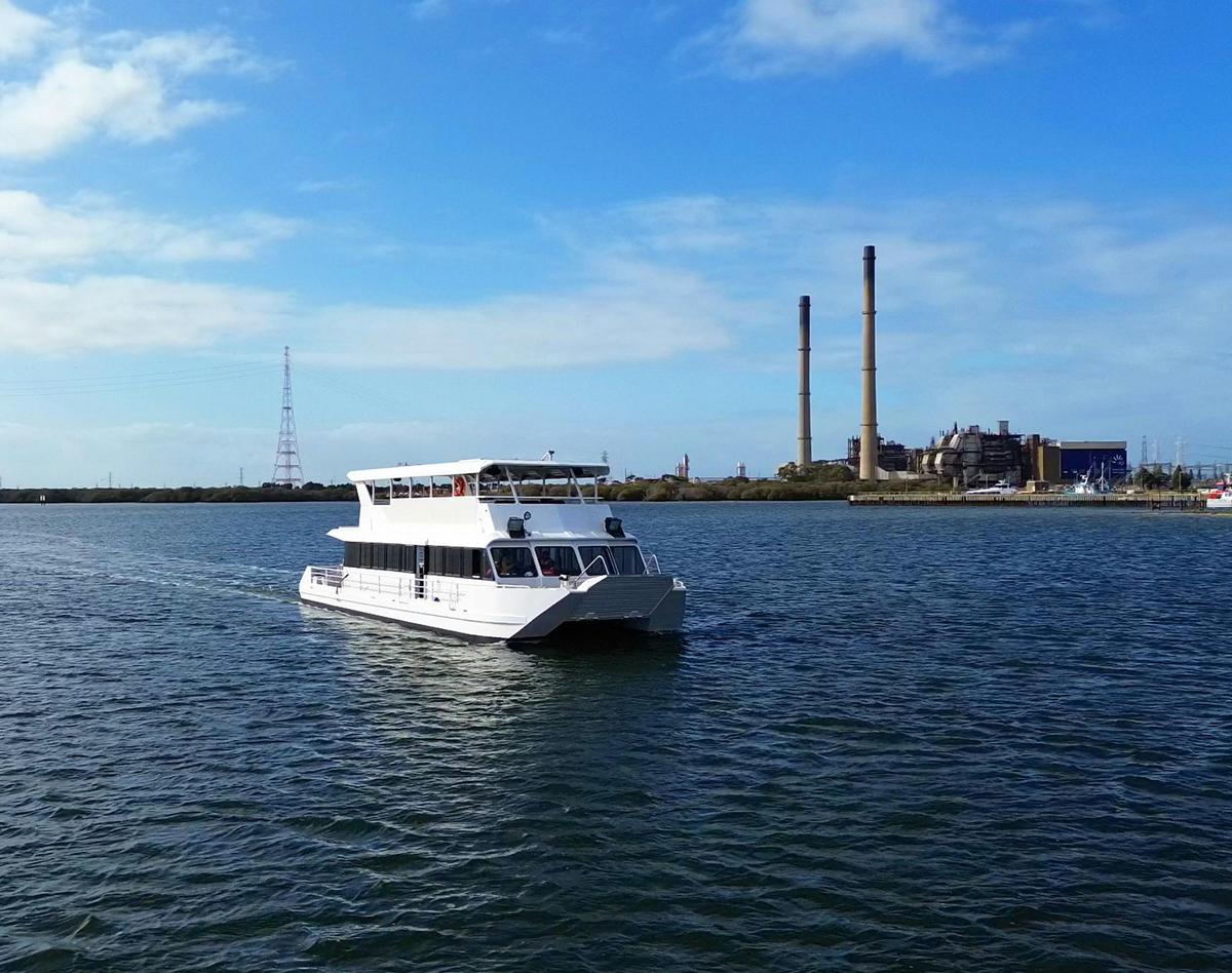 2-Hour Dolphin and Maritime Cruise