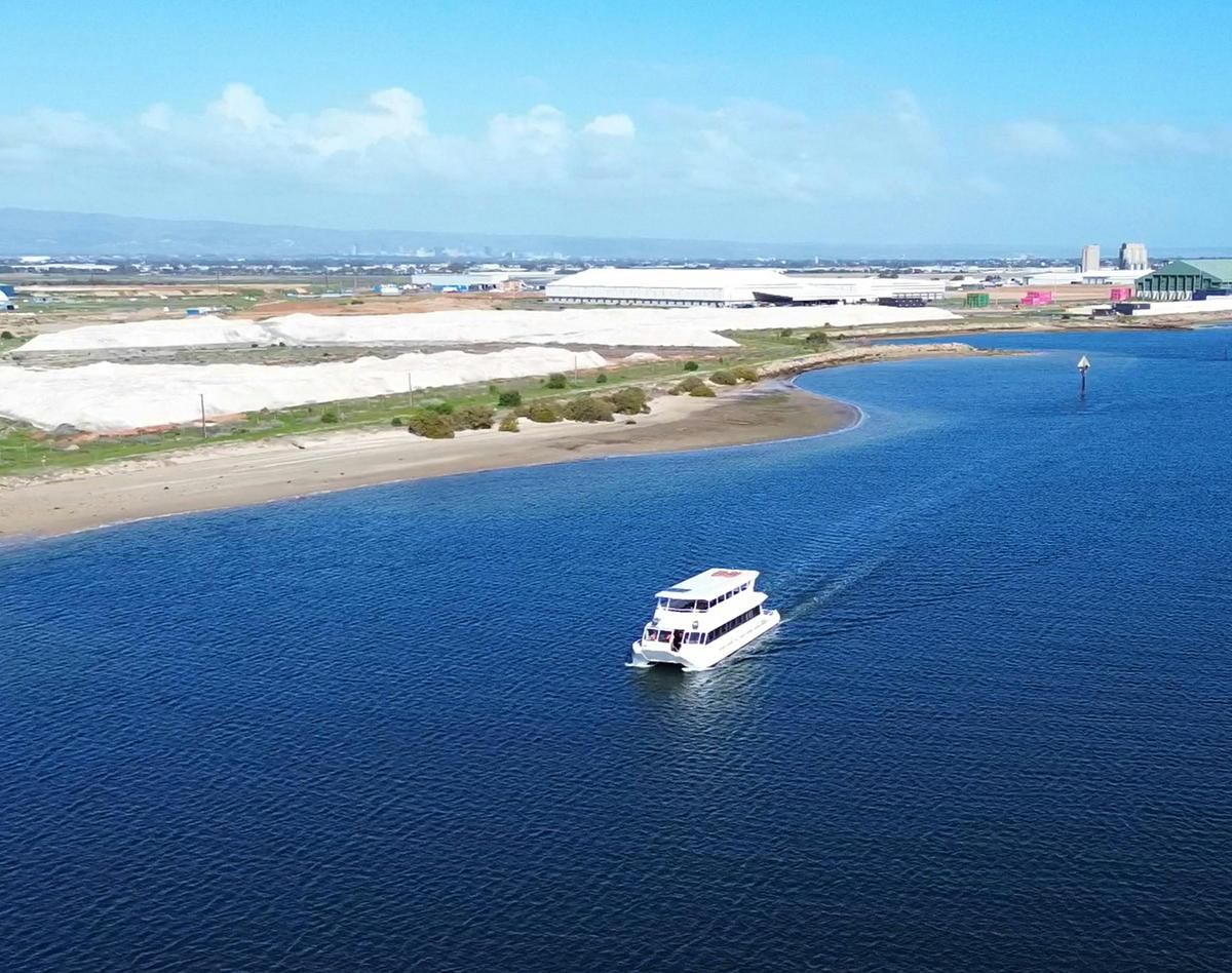 2-Hour Dolphin and Maritime Cruise