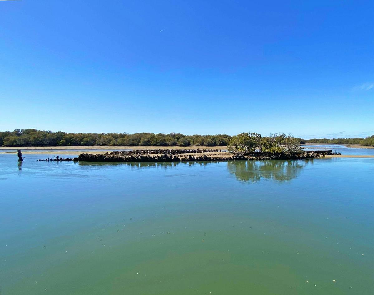 90 Minute Dolphin and Ships Graveyard Cruise