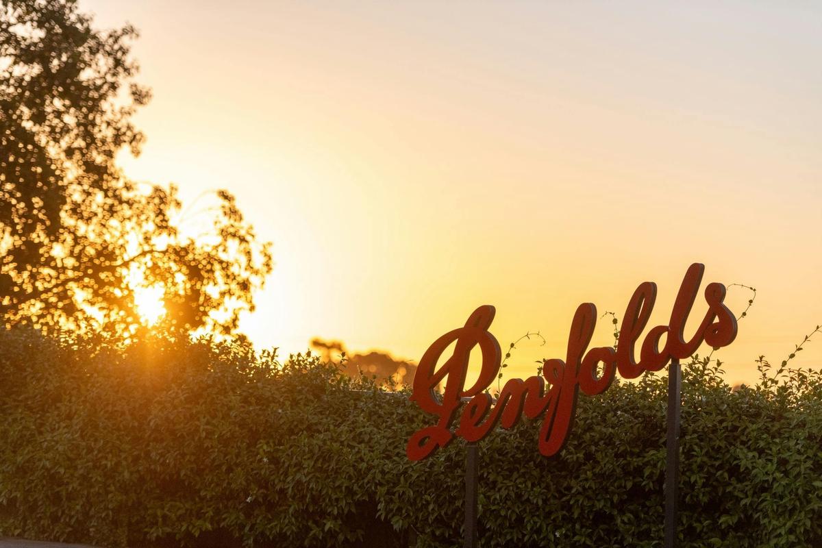 The Ultimate Penfolds Experience