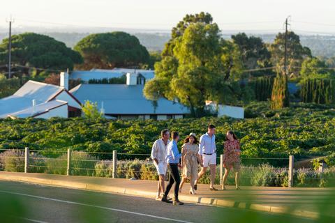 Penfolds Iconic Experience