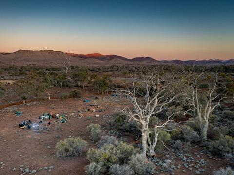 Ikara-Flinders Ranges with Camels - South Australia - 9 Days