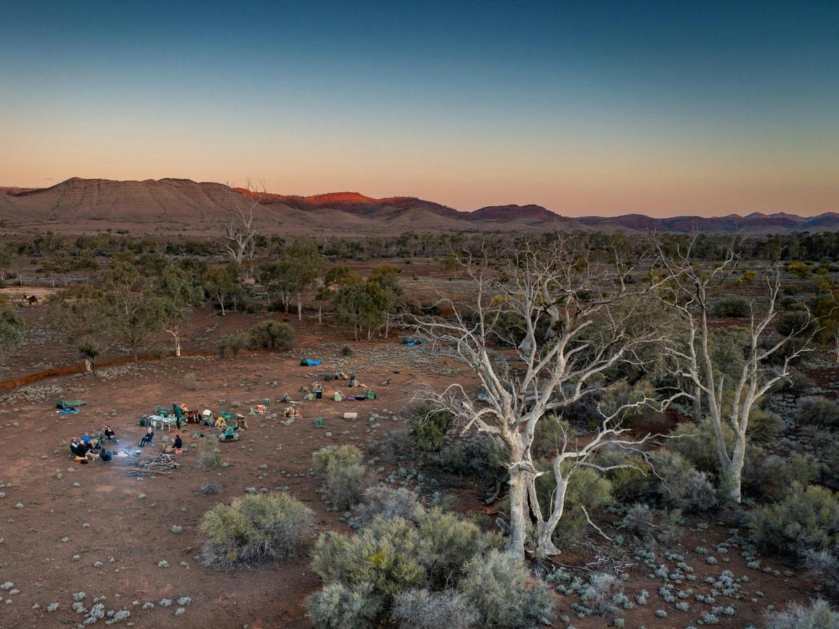 Ikara-Flinders Ranges with Camels - South Australia - 9 Days