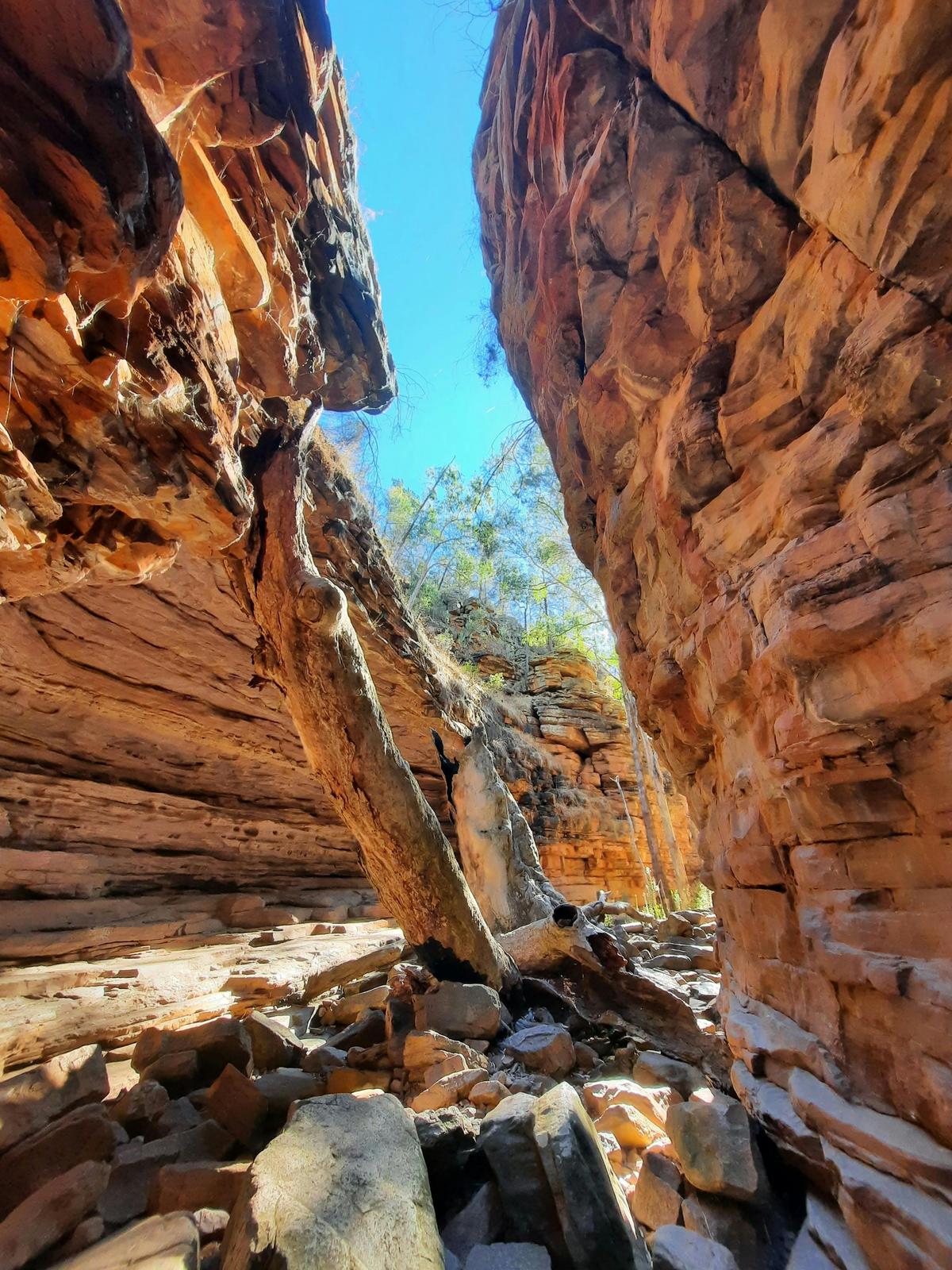 Park Trek Walking Holidays South Australia