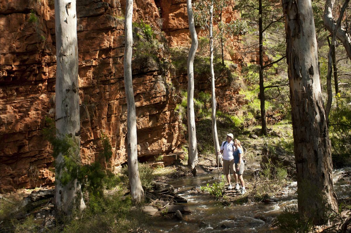 Park Trek Walking Holidays South Australia