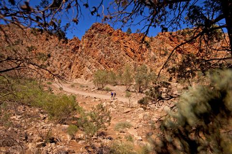 Park Trek Walking Holidays South Australia