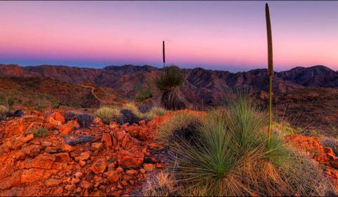 Ikara-Flinders Ranges - South Australia - 5 Days
