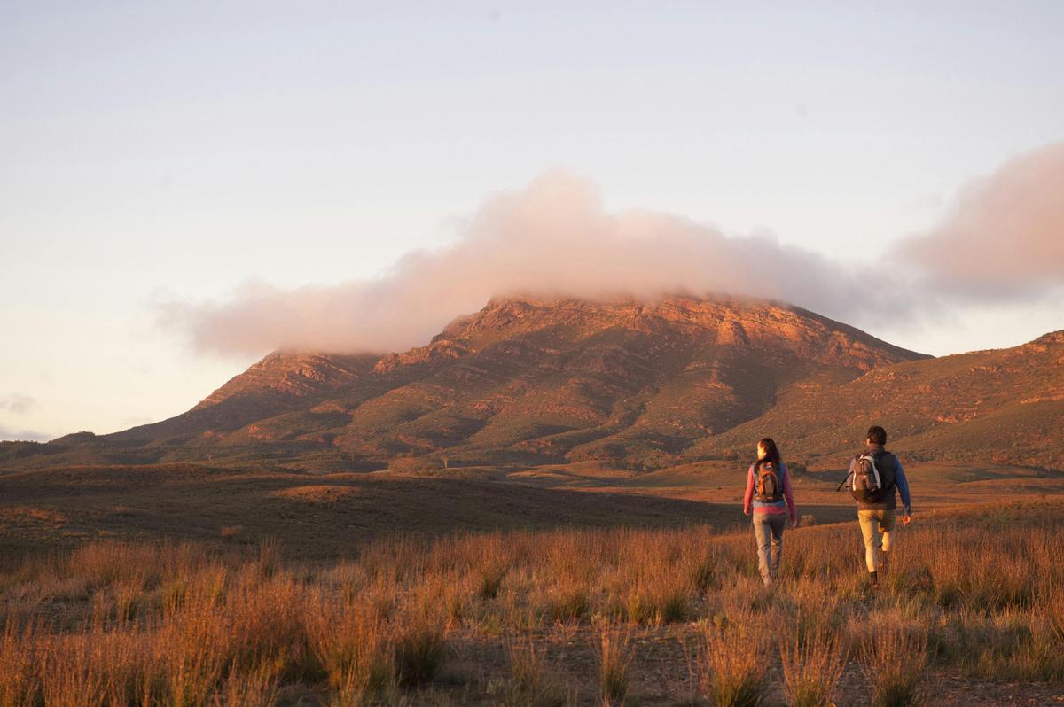 Park Trek Walking Holidays South Australia