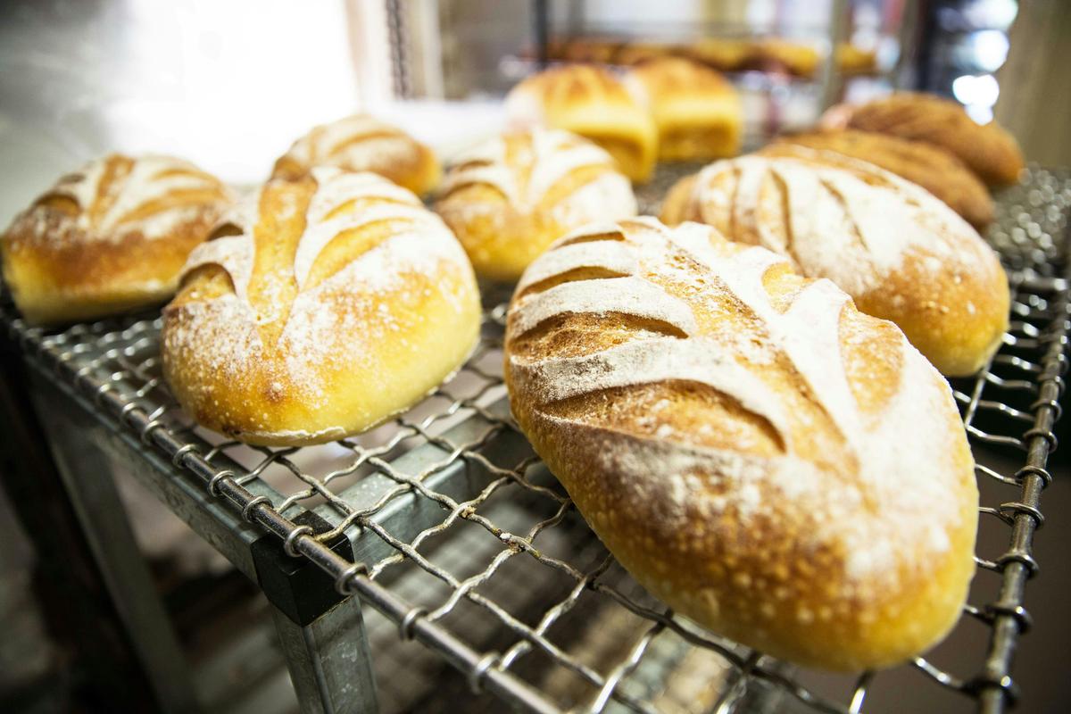 Sourdough Bread
