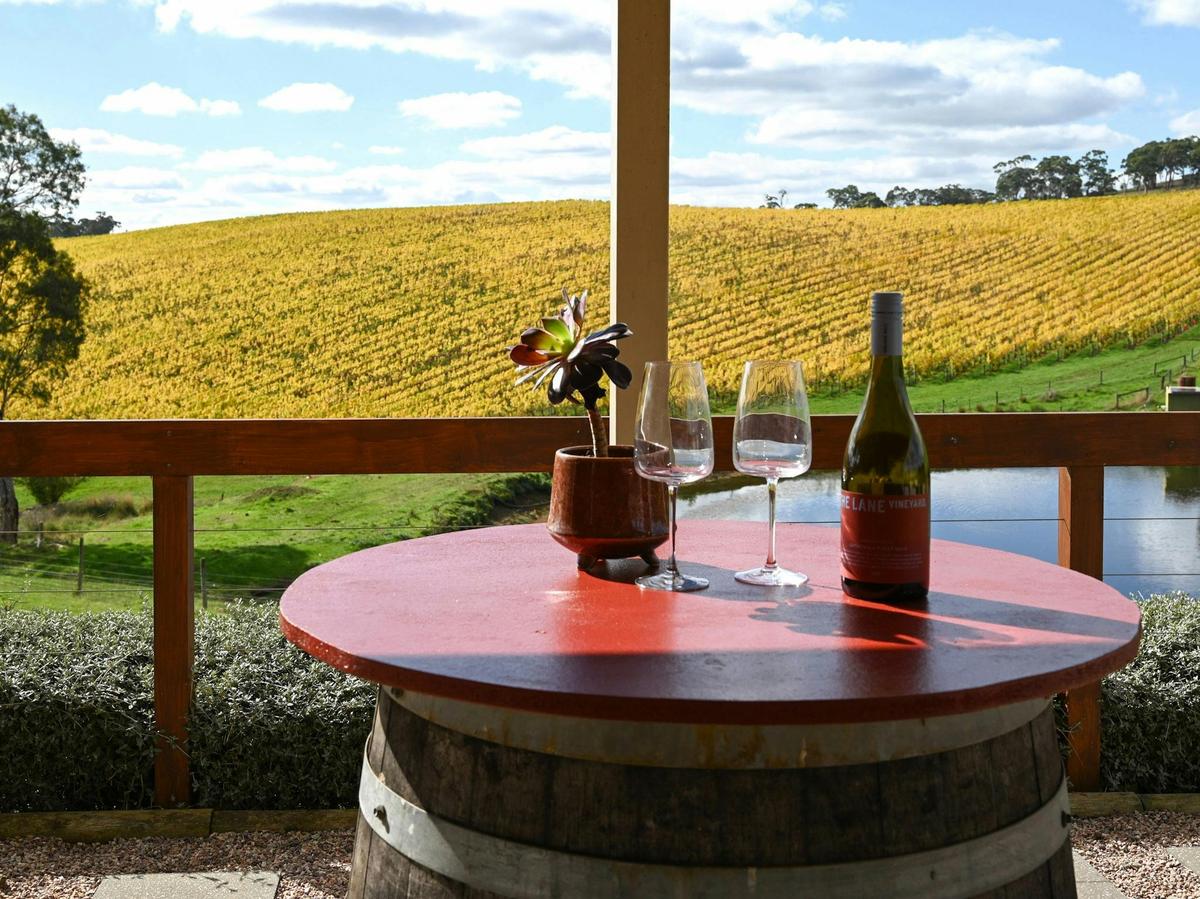 The outlook from you own verandah, overlooking the vineyard and dam