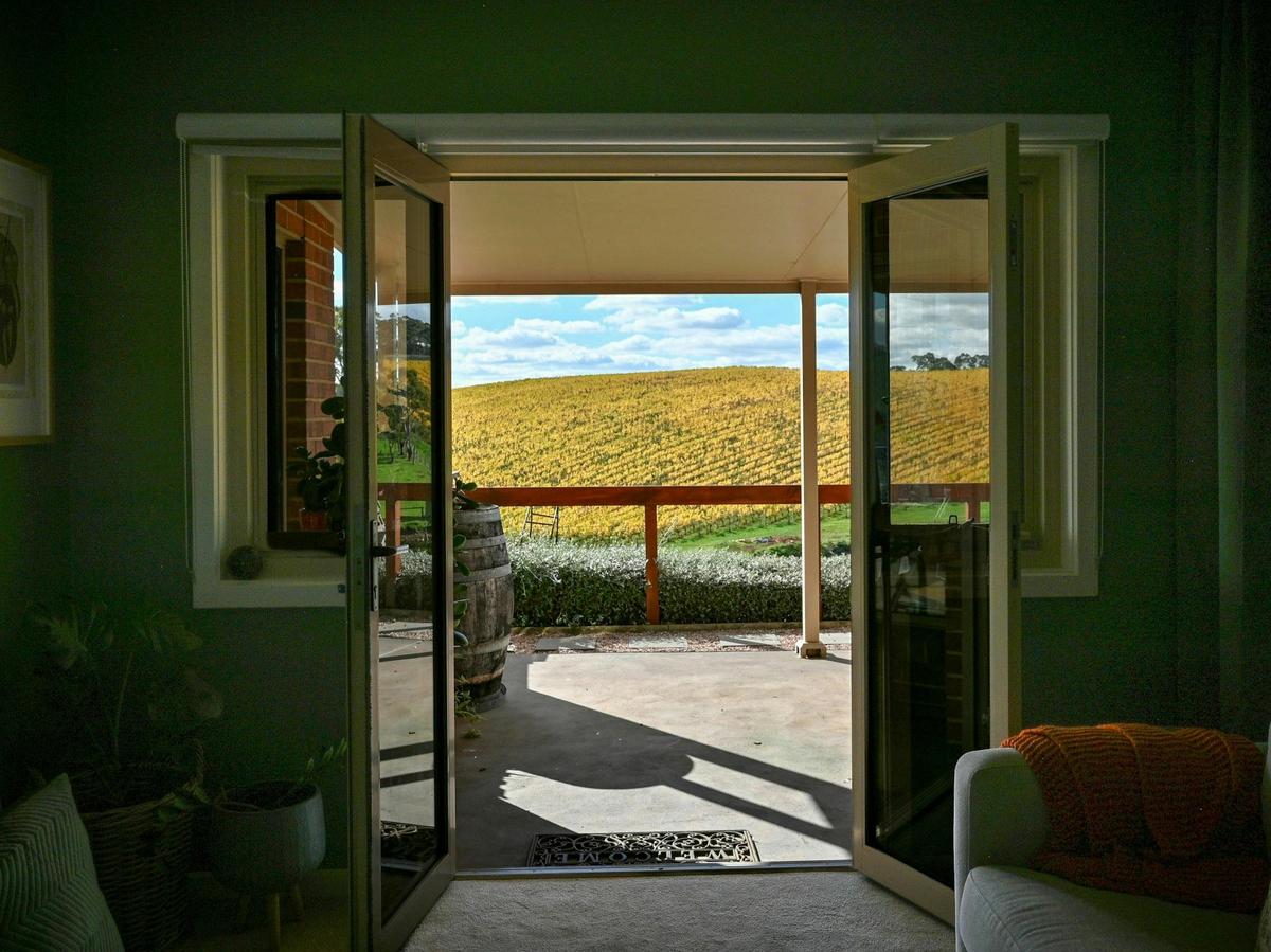 Gaze out to the vines from the comfort of the sitting room